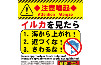 危険】イルカに近づかないでください！【注意喚起】 - 若狭美浜観光協会