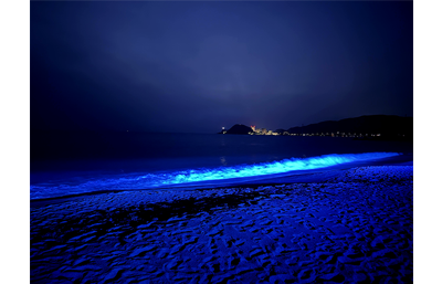 らいらい ホログラム箔総青海波 褄水 ６本 らみ様