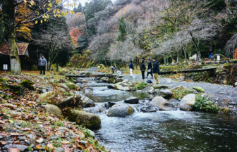 命の源流へ ～美浜の「水」が「食」に変わる瞬間を辿る、サステナブル・ネイチャー1dayツアー～